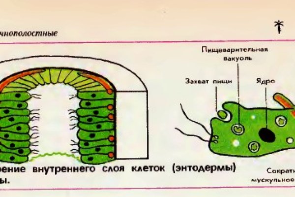 Kraken ссылка tor kraken ssylka onion com