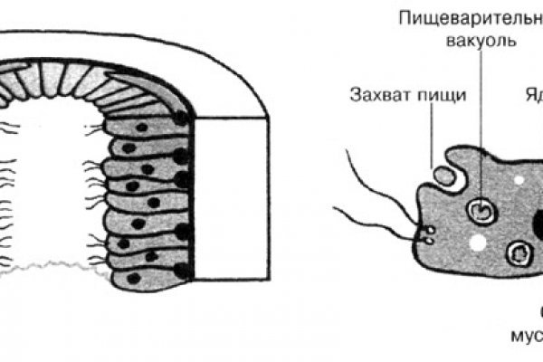 Омг онион сайт оригинал