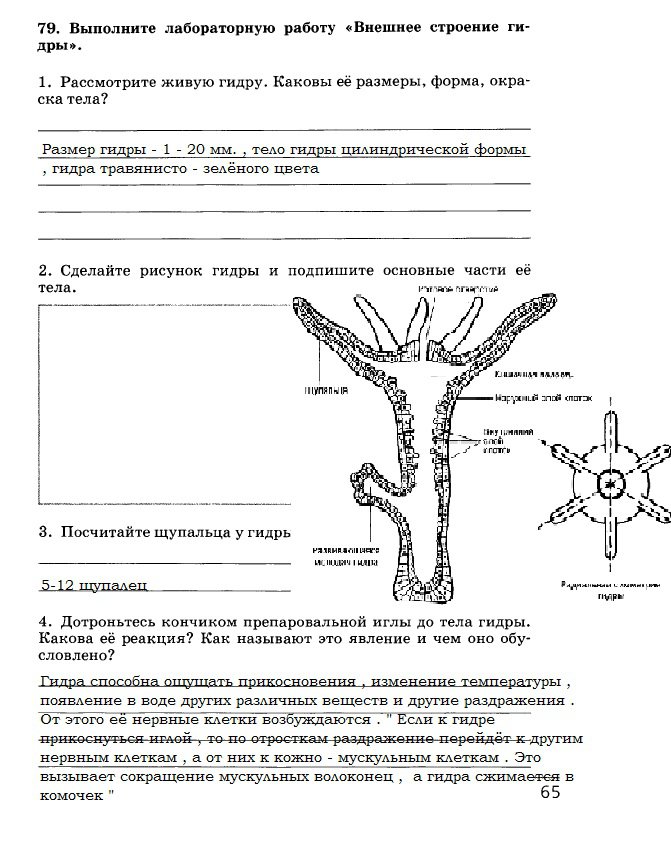 Omg даркнет сайт