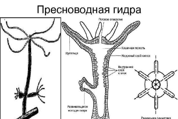 Ссылка на сайт блэкспрут через тор